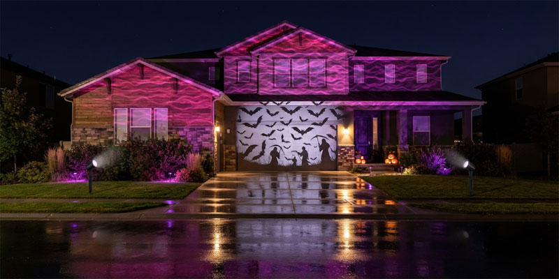 Dual Halloween projector lights layering moving purple water ripples with sharp black silhouettes of flying bats on a wall